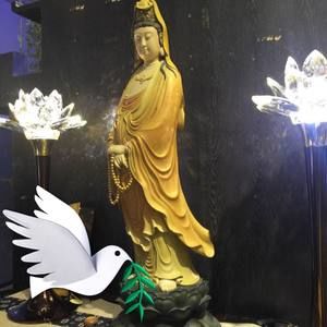 Meet your Posher, Tuong van